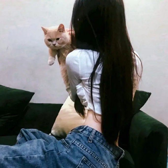 美丽破碎
